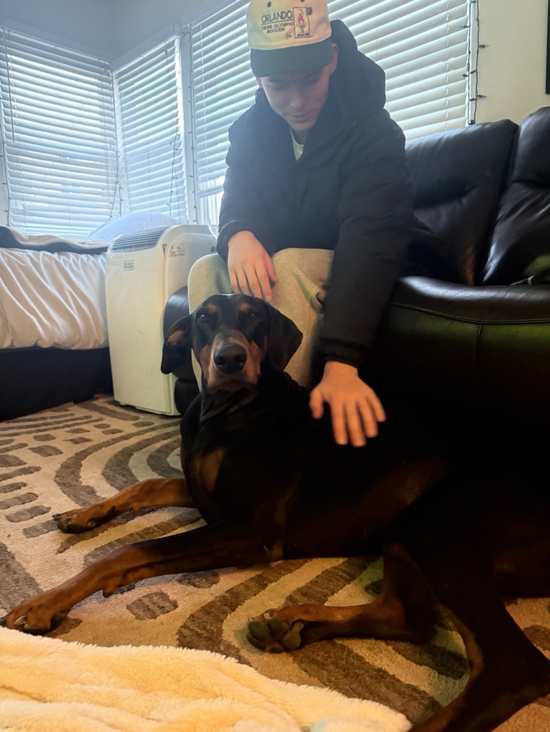 Cameron, Dog Dude at ShesMyDogLady